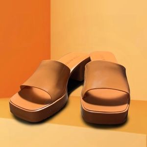 Steve Madden Brown Harlan Sandal